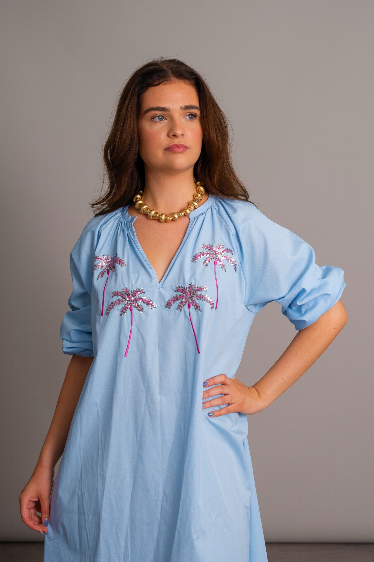 The PERFECT Versaille Dress Blue